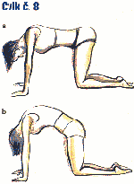 Cvik 8: Základní poloha: vkleče, paţe pod rameny, kolena pod hýţděmi, hlava volně visí. Pokyny: Co největší nádech, vyhrbit trup. Stáhnout hýţdě, stáhnout břišní svaly, výdrţ.