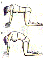Cviky 8, 9 a 10 je moţné cvičit ve třech různých polohách.