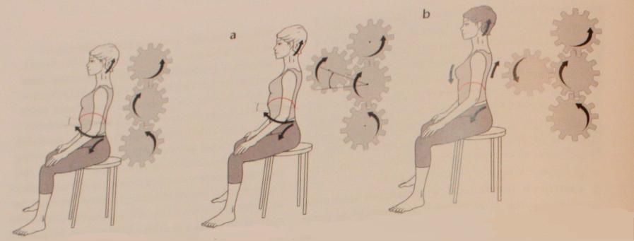 PŘÍLOHY Příloha 1 Svalová dysbalance Obrázek 1 Svalová dysbalance Zdroj: https://www.painscience.com/articles/posture.