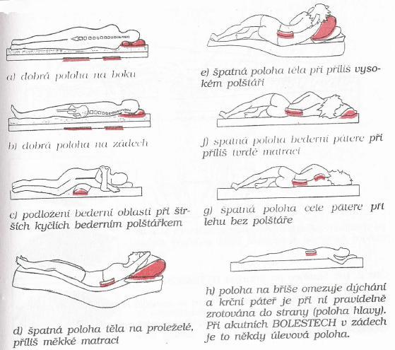 Příloha 3 Polohy těla při spánku Obrázek 3