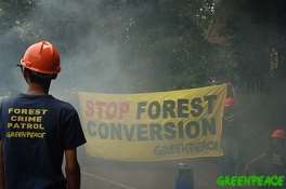 Kde se vzala myšlenka certifikace FSC Vlády nedokázaly řešit téma odlesňování NNO zjistily, že bojkot nebrání odlesňování Zneužívání