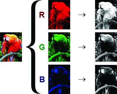V digitální fotografii pracujeme se čtyřmi barevnými modely: RGB, CMYK, Lab a HSB RGB (červená, zelená a modrá) - Model součtových barev.