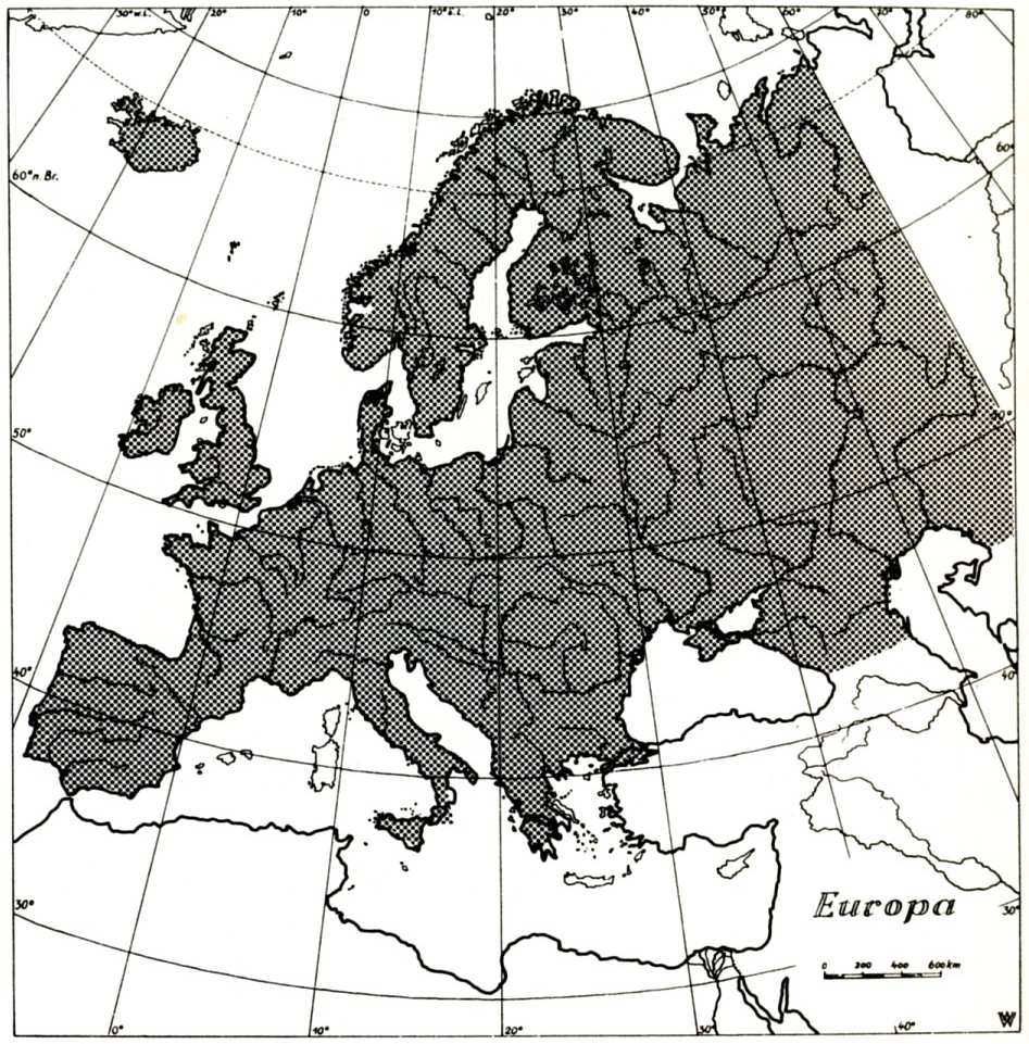 Hydra viridissima Pallas, 1766 - nezmar zelený Hydroida - diverzita