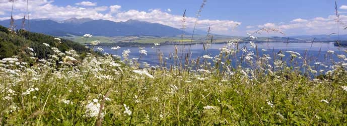 Katedra ekológie a environmentalistiky informácie o štúdiu na katedre o možnosti štúdia o proﬁl absolventa o odborné a spoločenské aktivity spojené so štúdiom na katedre o terénne práce o spolupráca