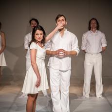 DIVADELNÍ PŘEDSTAVENÍ ČERNÁ LABUŤ BLACK SWAN THE THEATRE PERFORMANCE THEATERVORSTELLUNG SCHWARZER SCHWAN Dne 26. ledna jsme se vydali do divadla Reduta shlédnout divadelní hru Černá labuť.