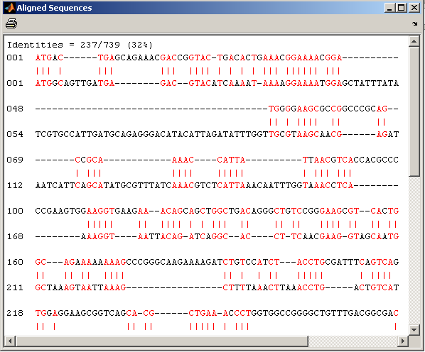 Obrázek 39: Zarovnání sekvencí prvního genu Yersinia enterocolitica subsp. enterocolitica 8081 a Yersinia pestis CO92 plasmid pcd1 mnou vytvořeným programem.