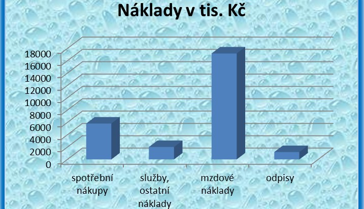 Přehled nákladů 50 501 502 Spotřebované nákupy Spotřeba materiálu Spotřeba energií 5 827 429,72 Kč 3 771 703,72 2 055 726,00 Plyn Elektrická energie Vodné a stočné 847 918,-994 590,-213 218,-- 51 511