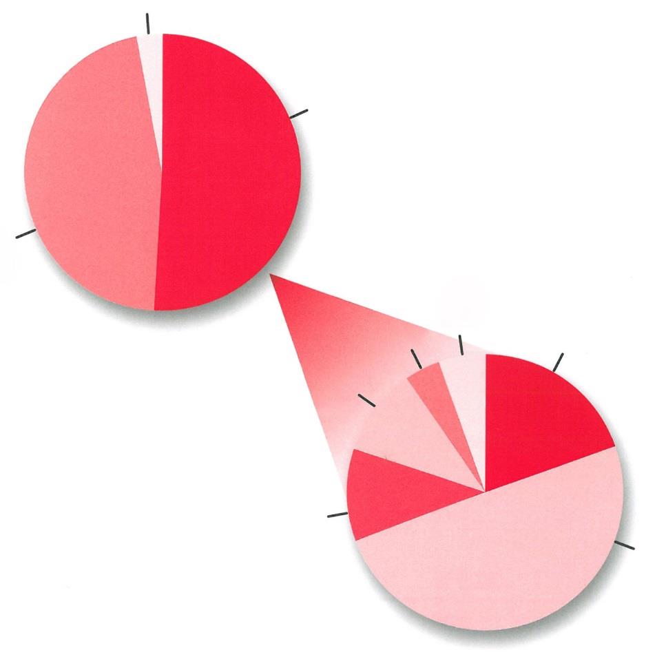 Epidemiologie PAH Světová zdravotnická organizace (WHO) Skupina 1 registr pacientů s plicní arteriální hypertenzí při zařazení IPAH 46,2 % Jiné 3,1 % Drogy/Toxiny 10,5 % Portalní hypertenze 10,6 %