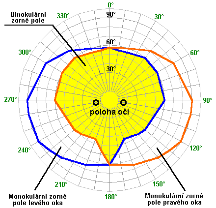 5 ZRAK V TECHNICKÝCH DATECH Auditoriologie učeben nejen pro učitele Z řady fyziologických parametrů lidského zraku vybereme a s přípustným zjednodušením uvedeme ty, které mají rozhodující význam pro