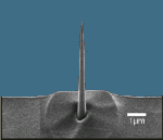 Mikroskopie atomárních sil patří do skupiny mikroskopií se skenující sondou (SPM) první použití 1986 Binnig měření v blízkém poli detekuje síly působící mezi velmi malým hrotem, připevněným na