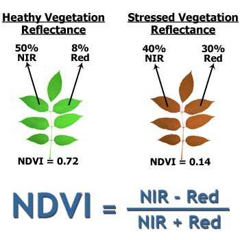 Zjišťované parametry: obsah vody, chlorofylu, NDVI-normalizovaný vegetační index,