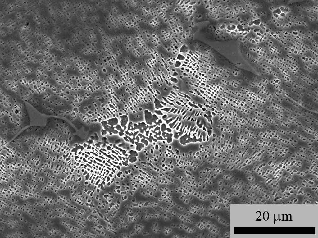 METAL 2009 Obr. 1. Mikrostruktura superslititny IN 792-5A hrubá denritická struktura, eutektikum γ/γ, karbidy a precipitáty γ vyskytující se ve struktuře. Fig. 1. Microstructure of IN 792-5A superalloy coarse dendritic structure, eutectic γ/γ, carbides and precipitates γ found in microstrukture.