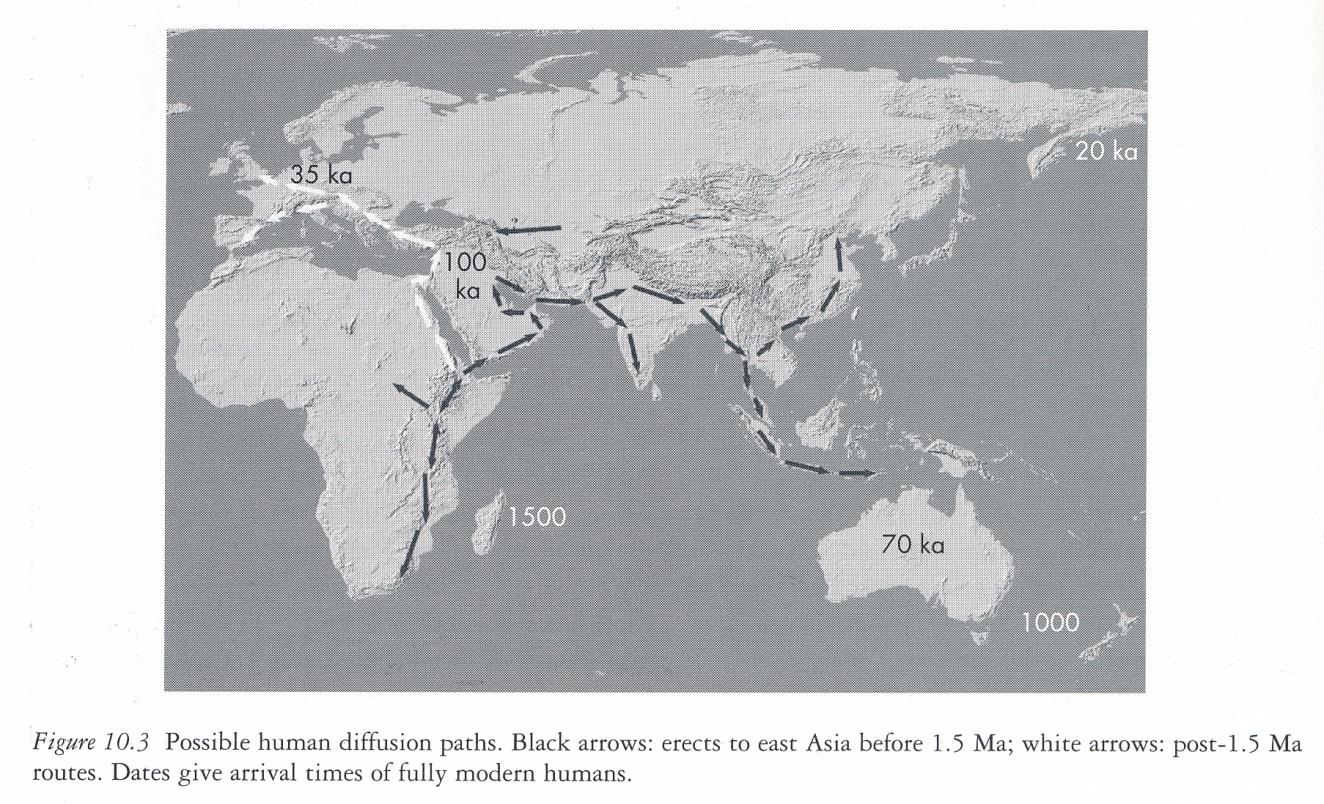 200 ka - Homo sapiens - V Africe se z Homo heidelbergensis vyvinul anatomicky moderní člověk Homo sapiens. 100-50 ka - Homo sapiens neanderthalensis - Evropa, jz.