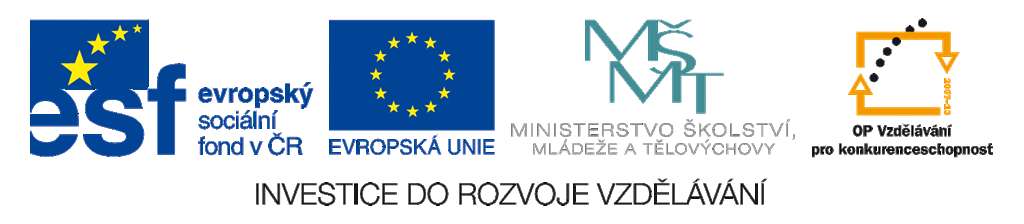 Registrační číslo projektu: CZ.1.