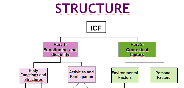 STRUKTURA ICF Druhá část se týká souvisejících faktorů a skládá se ze