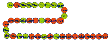 Agonisté GLP 1R Native DPP4Human GLP-1