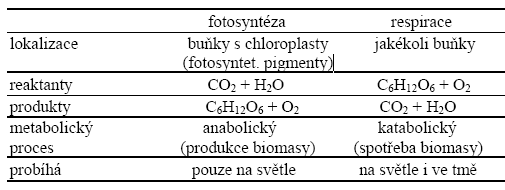 Srovnání