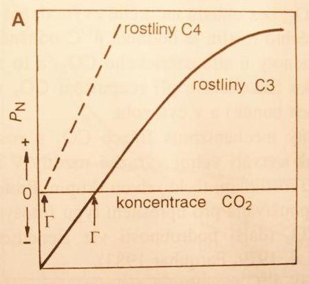 Př.: C3 vs.