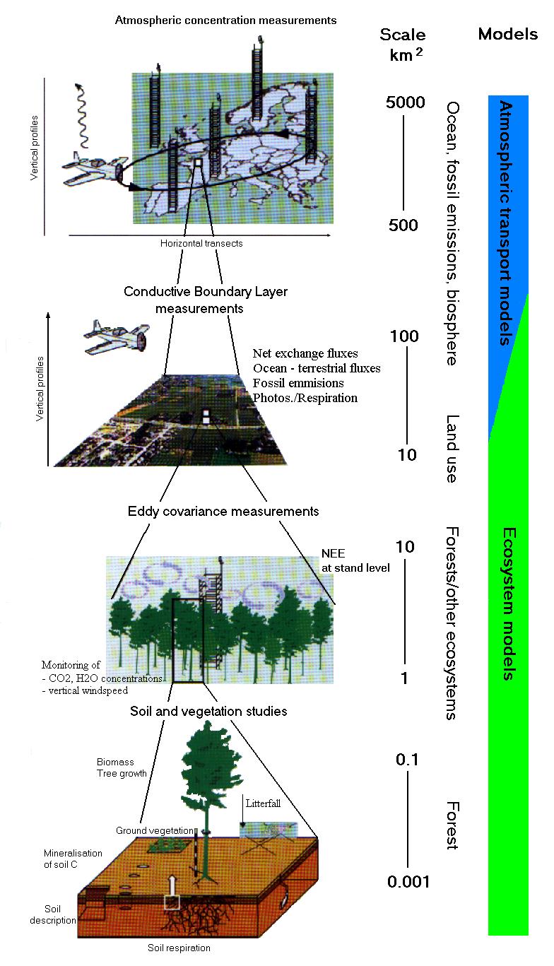 Scientific Orientation Object of Investigation physiological processes within ecosystems (forest, grassland, agro-ecosystems) evaluation of carbon pools and sinks in various types of ecosystems