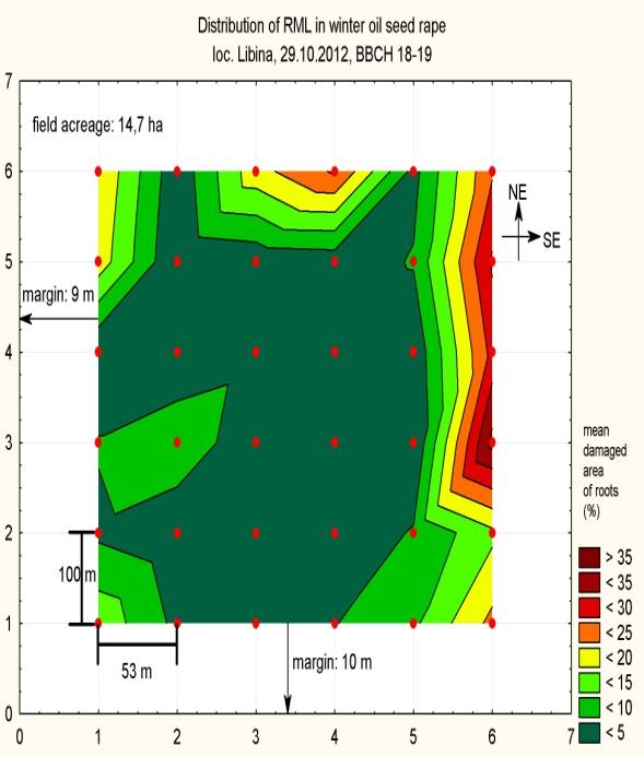 Locality Mean root area damaged by RML (%) Mean number of plants infested by RML; max.