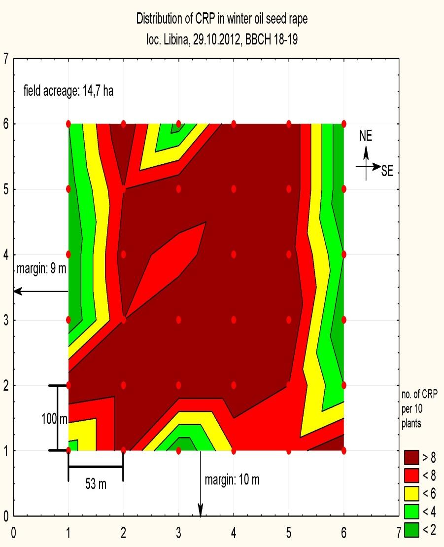 Locality mean root area damaged by RML (%) Mean number of plants infested by RML; max.