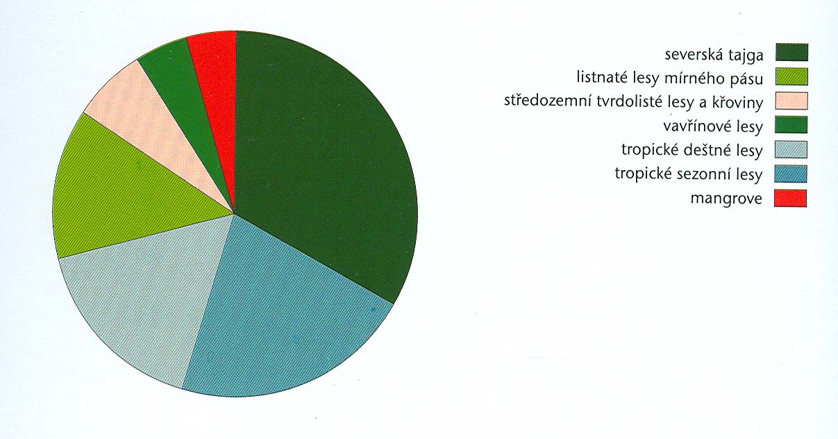 Potenciální rozšíření různých typů lesa na Zemi *Největší plochu zaujímá