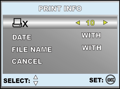 V režimu [PRINT] (Tisk): Můžete vytisknout vybraný snímek na tiskárně kompatibilní se standardem PictBridge.