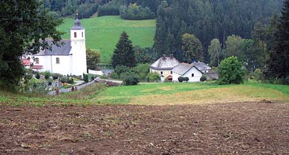 ZMĚNA TRAVNÍHO POROSTU NA ORNOU PŮDU GAEC4 2.4. ZMĚNA TRAVNÍHO POROSTU NA ORNOU PŮDU Standard GAEC4: Nedošlo k faktické změně kultury z travního porostu na ornou půdu?