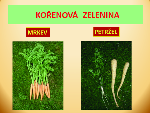 Název prezentace: Zelenina Tvůrce: Mgr. Eva Mrázková Žák pojmenuje a dělí zeleninu na šest skupin podle části, kterou využíváme k naší výživě.