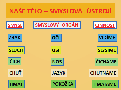 Multimediální prezentace, obraz lidského těla, živý model, pracovní list. Motivace Jak vypadá tvůj kamarád?