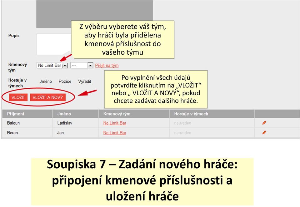 kliknutím na VLOŽIT nebo VLOŽIT A NOVÝ, pokud chcete zadávat dalšího