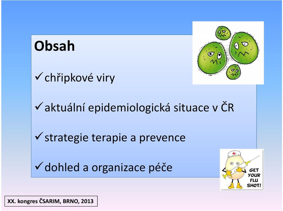 situace v ČR strategie