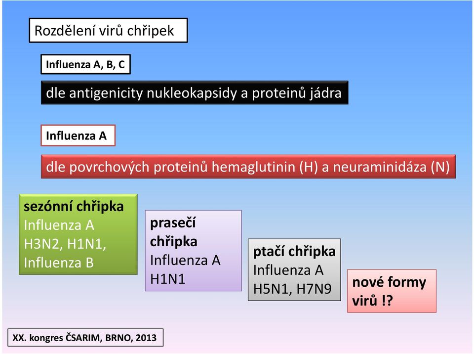 neuraminidáza(n) sezónní chřipka Influenza A H3N2, H1N1, Influenza B