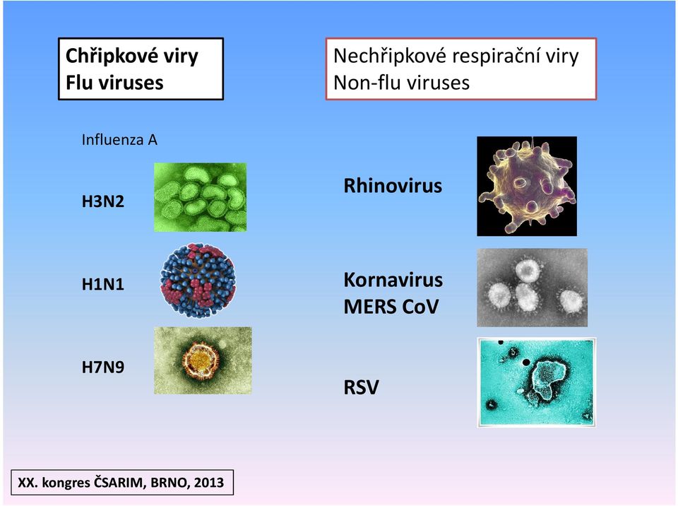 Non-flu viruses Influenza A H3N2