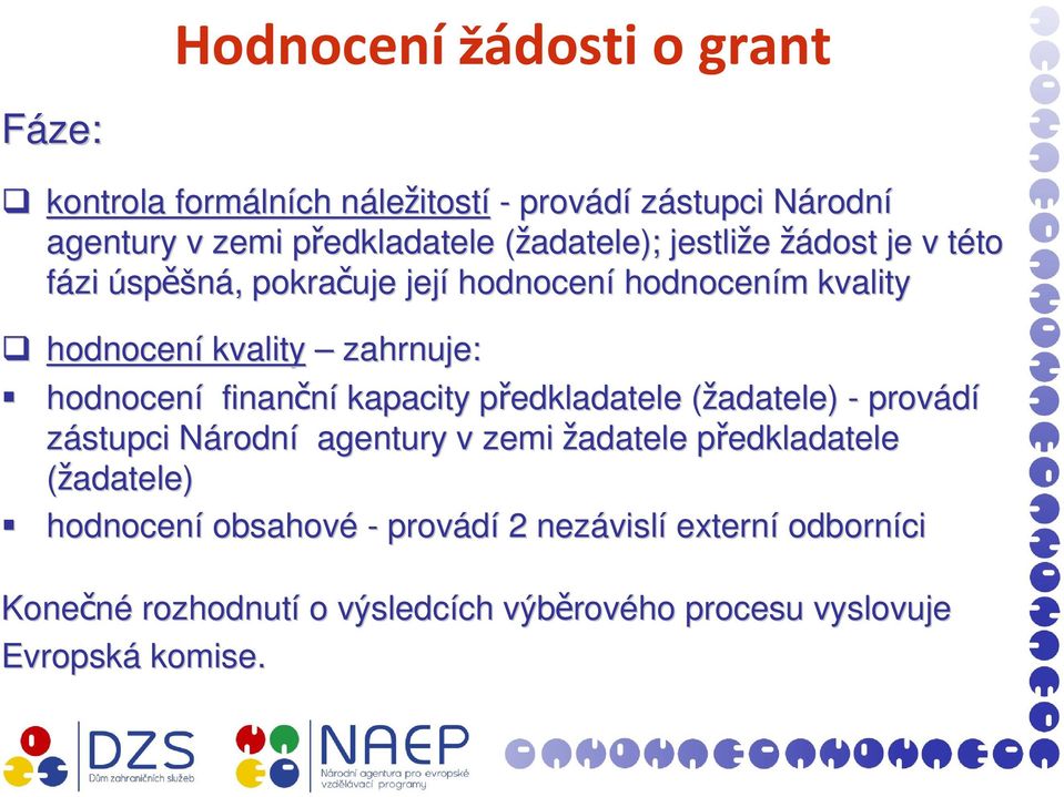 hodnocení finanční kapacity předkladatele p (žadatele)( - provádí zástupci NárodnN rodní agentury v zemi žadatele předkladatele p