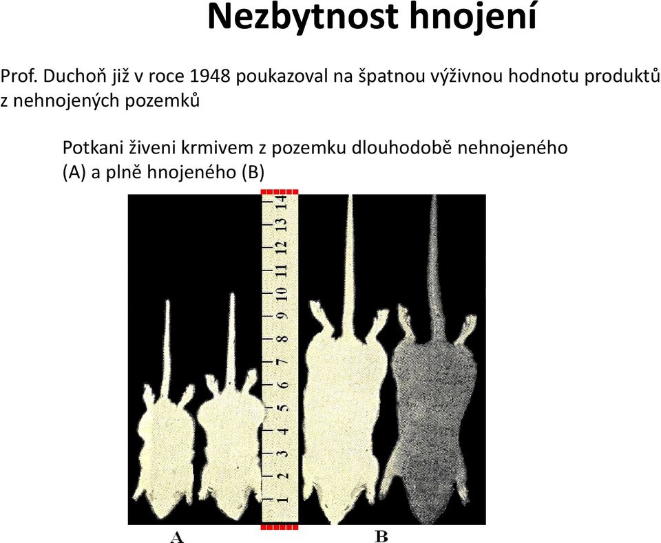 výživnou hodnotu produktů z nehnojených pozemků