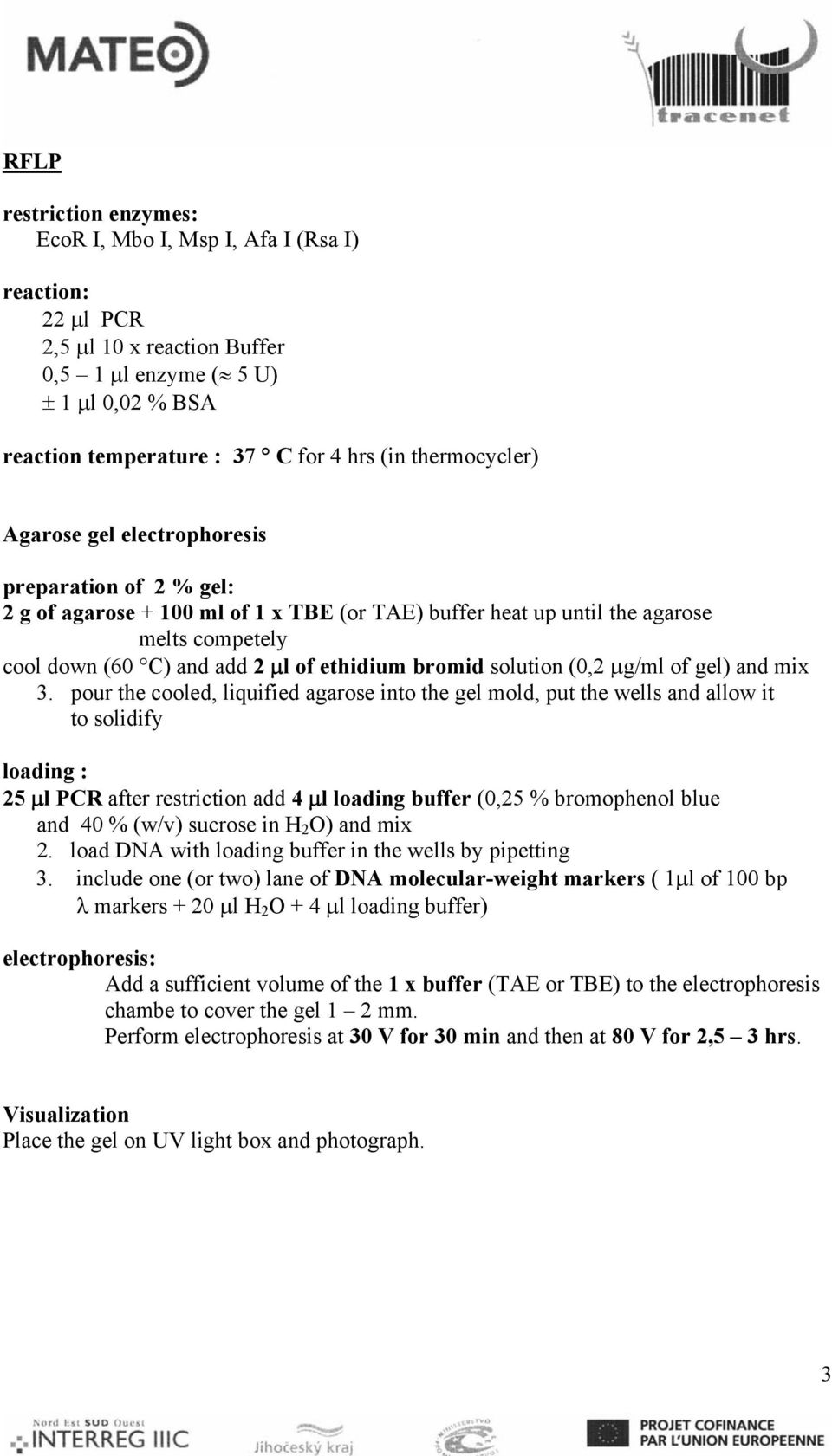 ethidium bromid solution (0,2 μg/ml of gel) and mix 3.