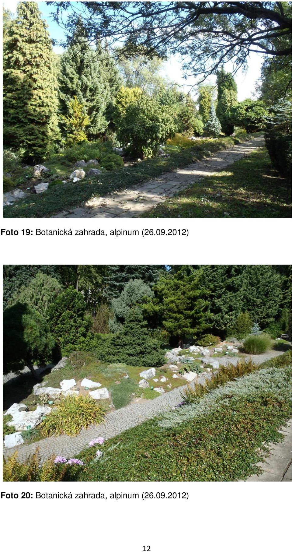 2012) Foto 20: Botanická