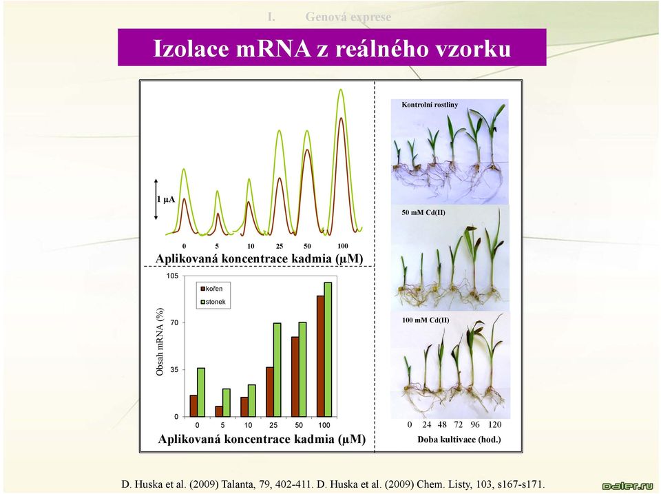 0 0 5 10 25 50 100 Aplikovaná koncentrace kadmia (µm) 0 24 48 72 96 120 Doba kultivace (hod.