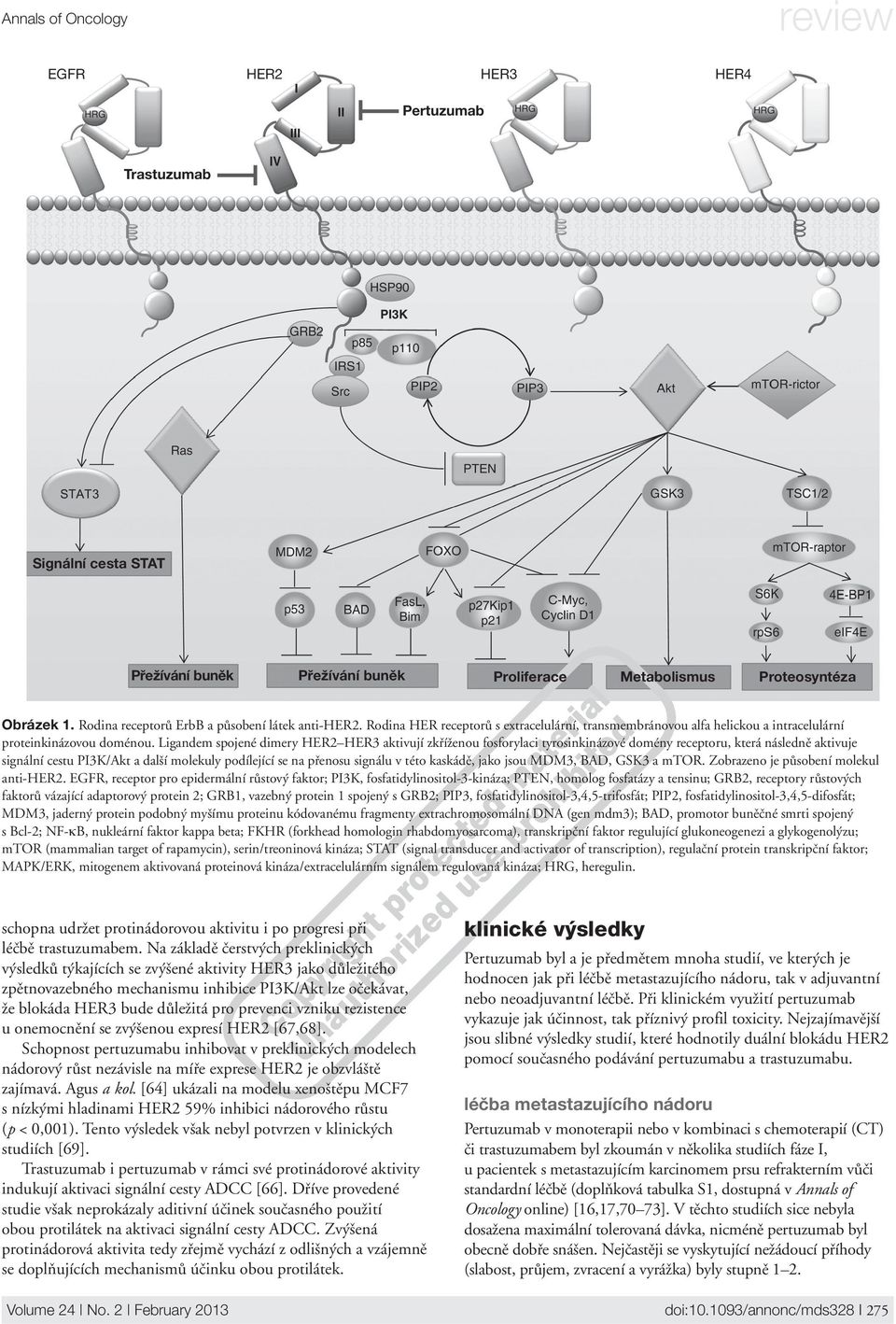 vzniku rezistence u onemocnění se zvýšenou expresí HR2 [67,68]. Schopnost pertuzumabu inhibovat v preklinických modelech nádorový růst nezávisle na míře exprese HR2 je obzvláště zajímavá. gus a kol.