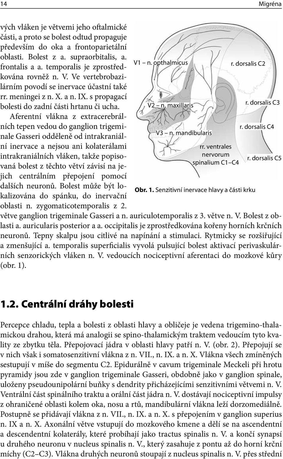 Aferentní vlákna z extracerebrálních tepen vedou do ganglion trigeminale Gasseri odděleně od intrakraniální inervace a nejsou ani kolaterálami intrakraniálních vláken, takže popisovaná bolest z