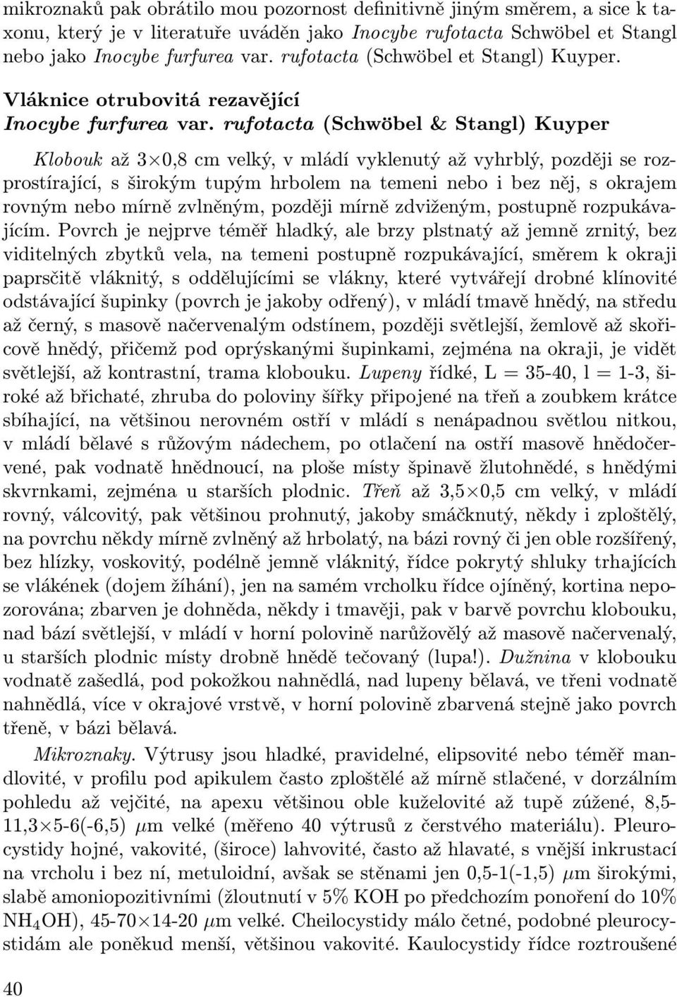 rufotacta (Schwöbel & Stangl) Kuyper Klobouk až 3 0,8 cm velký, v mládí vyklenutý až vyhrblý, později se rozprostírající, s širokým tupým hrbolem na temeni nebo i bez něj, s okrajem rovným nebo mírně