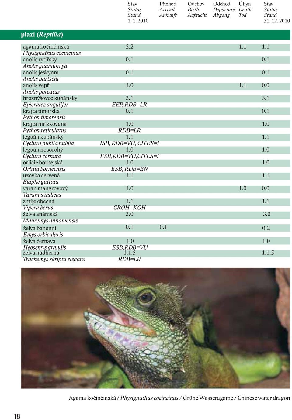 1 Epicrates angulifer EEP, RDB=LR krajta timorská 0.1 0.1 Python timorensis krajta mřížkovaná 1.0 1.0 Python reticulatus RDB=LR leguán kubánský 1.1 1.