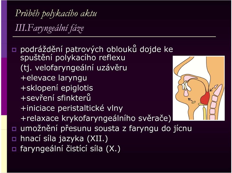 velofaryngeální uzávěru ě +elevace laryngu +sklopení epiglotis +sevření sfinkterů