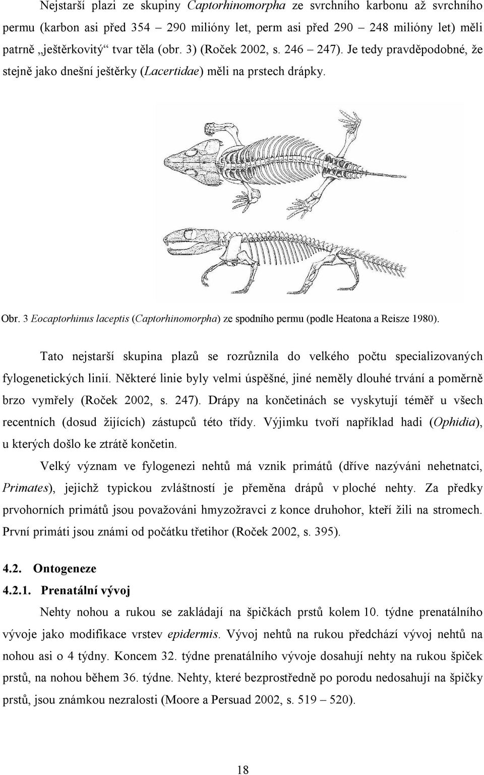 3 Eocaptorhinus laceptis (Captorhinomorpha) ze spodního permu (podle Heatona a Reisze 1980). Tato nejstarší skupina plazů se rozrůznila do velkého počtu specializovaných fylogenetických linií.