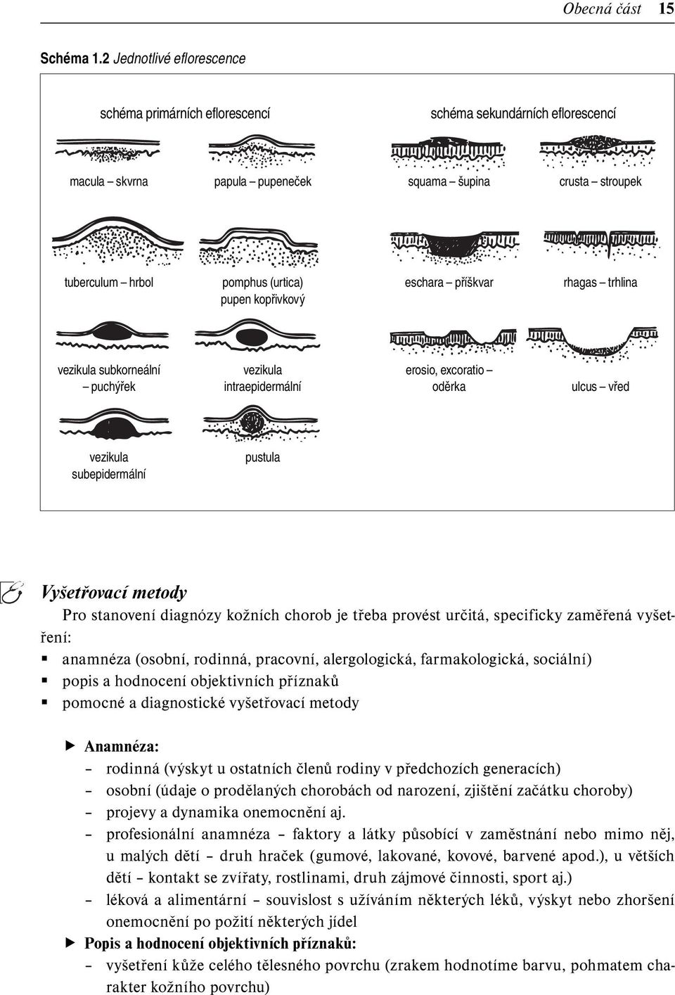 kopřivkový eschara příškvar rhagas trhlina vezikula subkorneální puchýřek vezikula intraepidermální erosio, excoratio oděrka ulcus vřed vezikula subepidermální pustula Vyšetřovací metody Pro