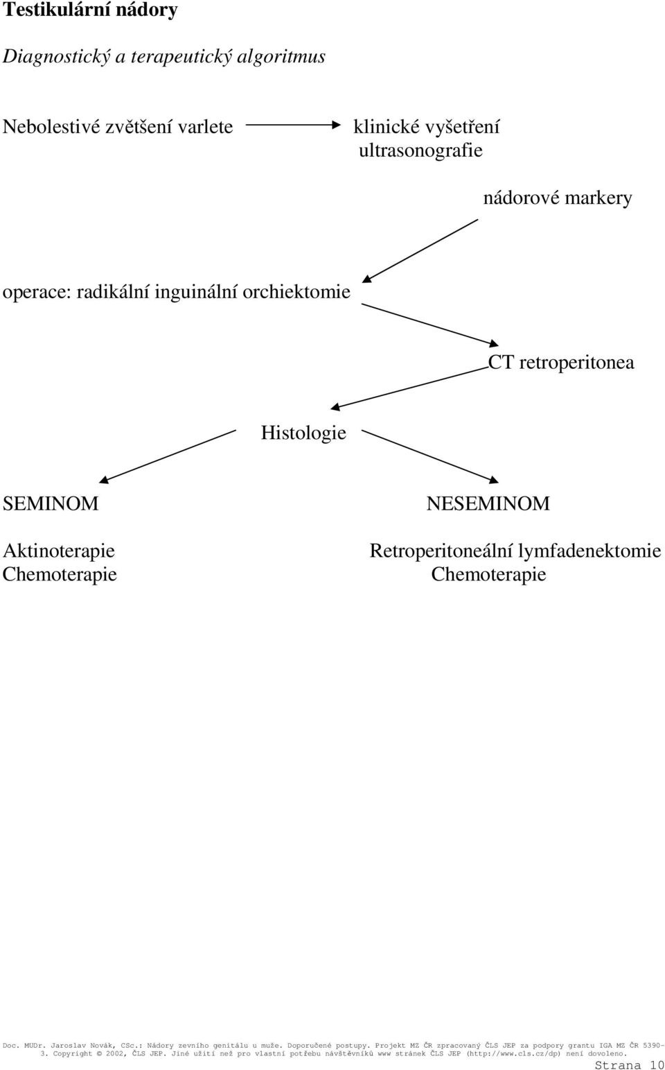 radikální inguinální orchiektomie CT retroperitonea Histologie SEMINOM