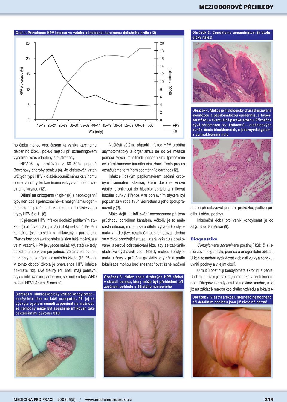 4. Afekce je histologicky charakterizována akantózou a papilomatózou epidermis, s hyperkeratózou a eventuálně parakeratózou. Příznačná bývá přítomnost tzv.