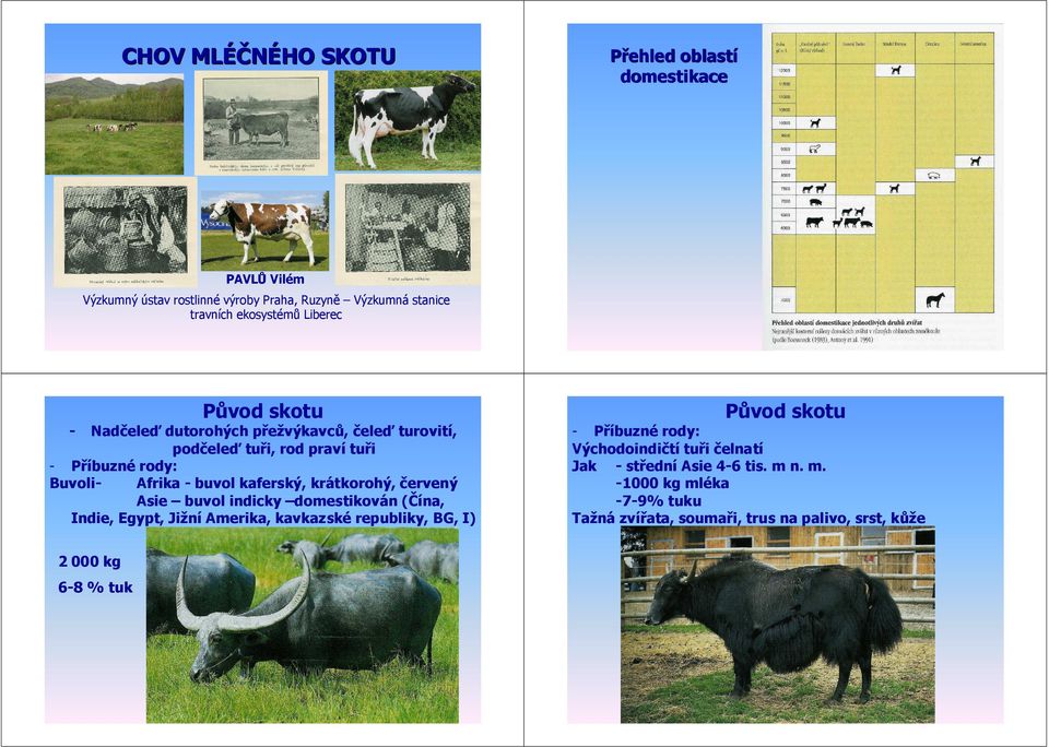 krátkorohý, červený Asie buvol indicky domestikován (Čína, Indie, Egypt, Jižní Amerika, kavkazské republiky, BG, I) 2 000 kg 6-8 % tuk Původ skotu -