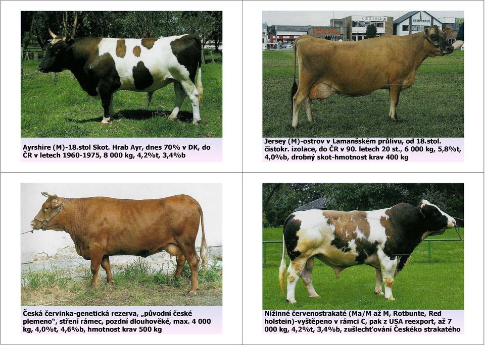 , 6 000 kg, 5,8%t, 4,0%b, drobný skotskot-hmotnost krav 400 kg Česká eská červinkaervinka-genetická genetická rezerva, původní vodní české eské plemeno plemeno, stř stření ení rámec, pozdní